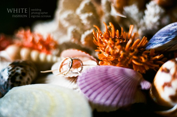 Wedding-Photographer-in-Italy-998