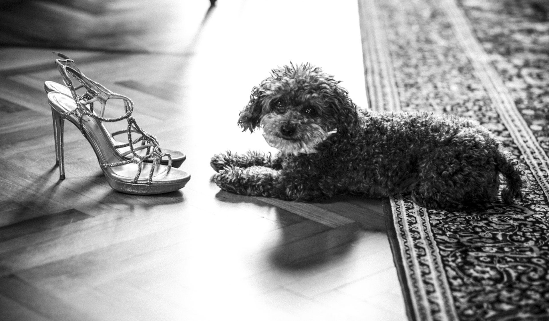 White fashion photographer in Italy